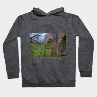 Avon Aqueduct III Hoodie